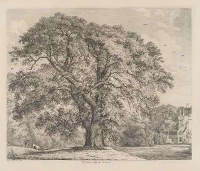 The Great Ash at Carnock av Jacob George Strutt