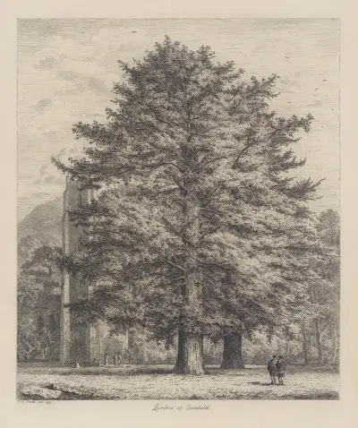 The Larches at Dunkeld av Jacob George Strutt