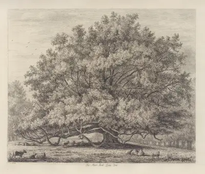 The Moor Park Lime Tree av Jacob George Strutt