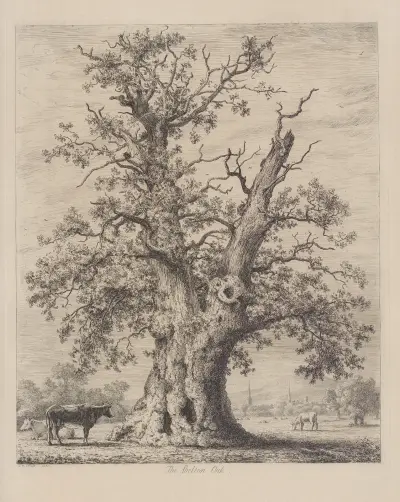 The Shelton Oak av Jacob George Strutt
