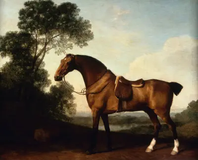 A Saddled Bay Hunter av George Stubbs