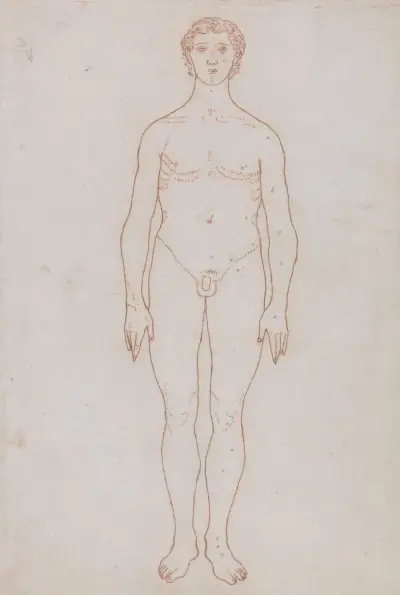 Study of the Human Figure, Anterior View (1795 to 1806) av George Stubbs
