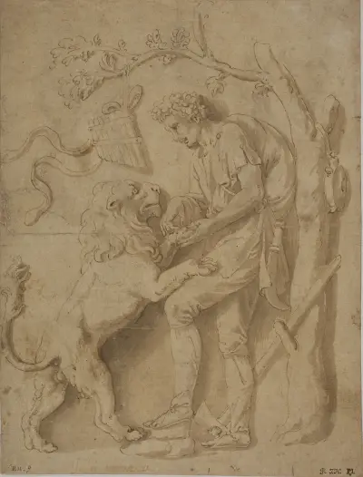 Hyrde fjerner en torn fra en løves pote Studie til en af stucco reliefferne i Giardino della Grotta, Palazzo Tè, Mantua av Giulio Romano