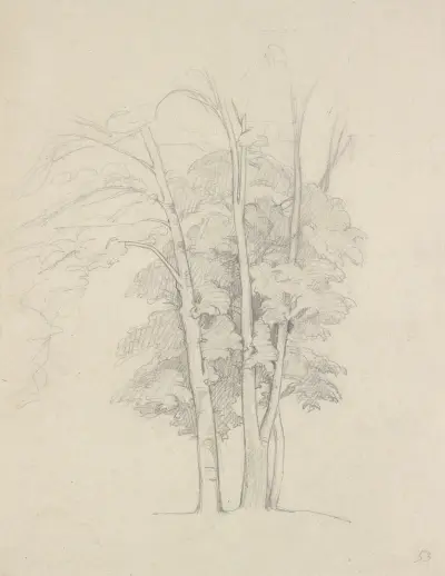 Three trees av Gustave Courbet