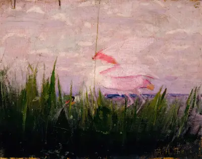 Roseate Spoonbill, study for book Concealing Coloration in the Animal Kingdom av Abbott Handerson Thayer
