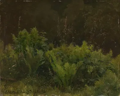 Study of Ferns, Hans Gude
