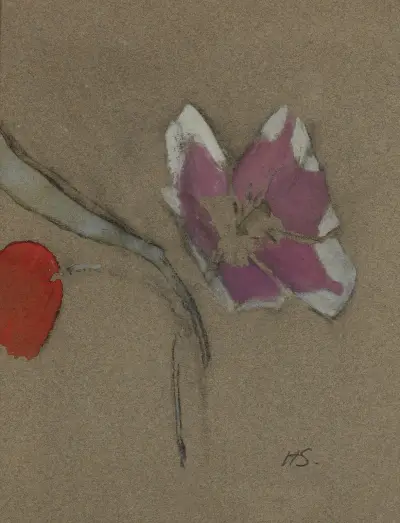 Anemone, Helene Schjerfbeck