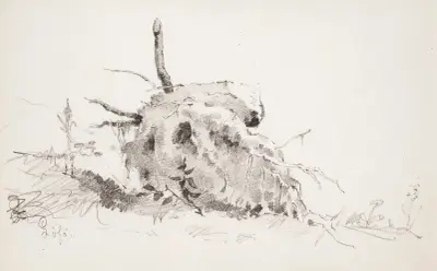 Puun juurakko, Helene Schjerfbeck