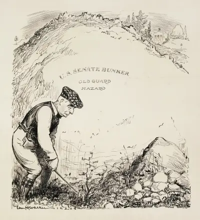 A bad lie von William Henry Walker
