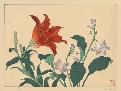 Lily, Sakai Hōitsu