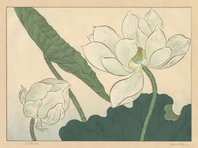 Lotus, Sakai Hōitsu