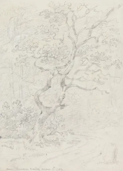 Stromy, nedaleko Lausanne, George Howland Beaumont