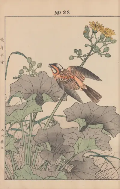 Keinen kachō gafu, list 147, Imao Keinen