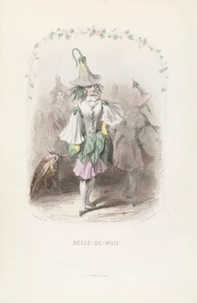 Belle-de-nuit, J. J. Grandville