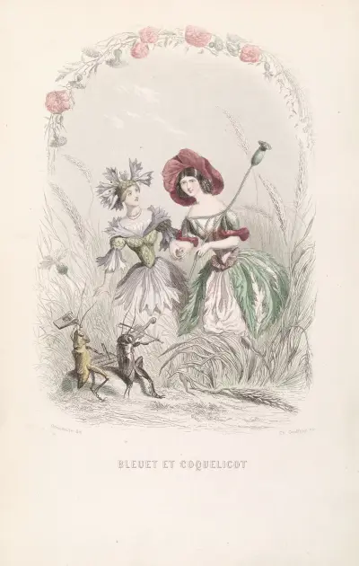 Bleuet et Coquelicot, J. J. Grandville
