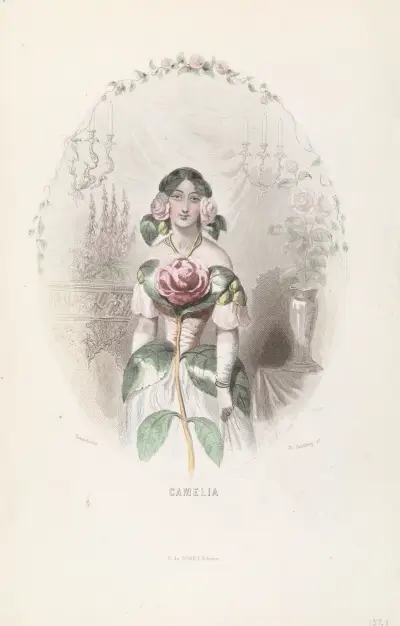 Camelia, J. J. Grandville
