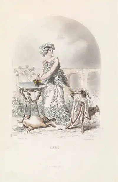Ciguë, J. J. Grandville