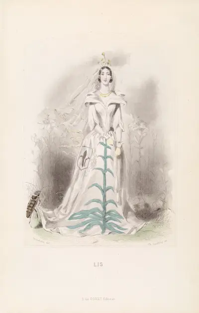 Lis, J. J. Grandville