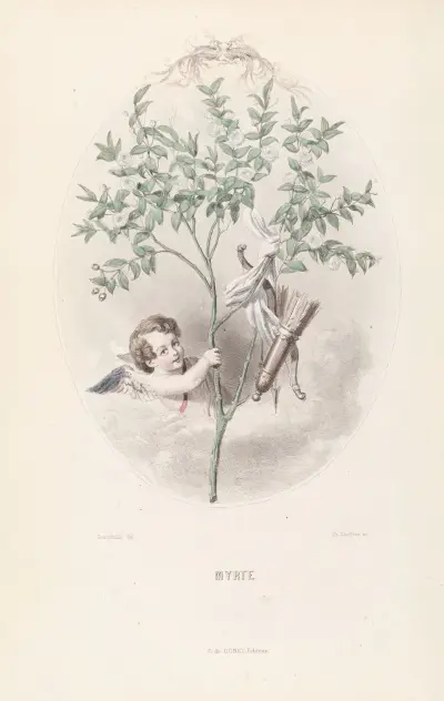 Myrte, J. J. Grandville