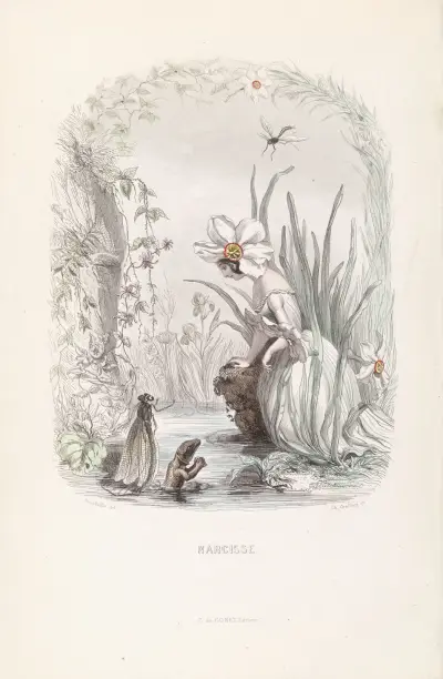 Narcisse, J. J. Grandville