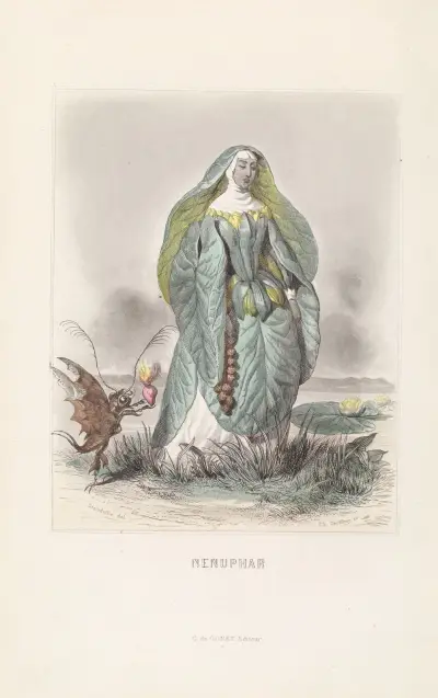 Nenuphar, J. J. Grandville