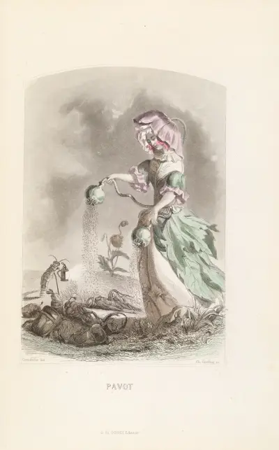 Pavot, J. J. Grandville