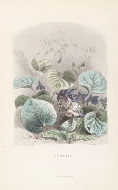 Violette, J. J. Grandville