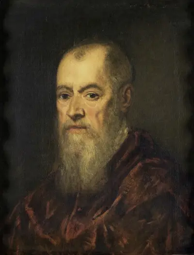 Portrait of a Man with a Red Cloak von Jacopo Tintoretto