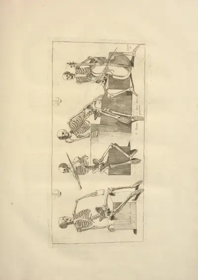 Nouveau recueil d’ostéologie et de myologie; dessiné d’après nature Pl.09 von Jacques Gamelin