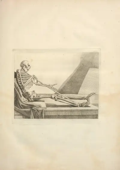 Nouveau recueil d’ostéologie et de myologie; dessiné d’après nature Pl.07 von Jacques Gamelin