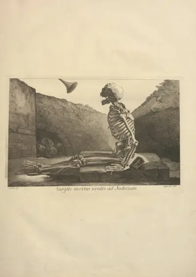 Nouveau recueil d’ostéologie et de myologie; dessiné d’après nature Pl.05 von Jacques Gamelin