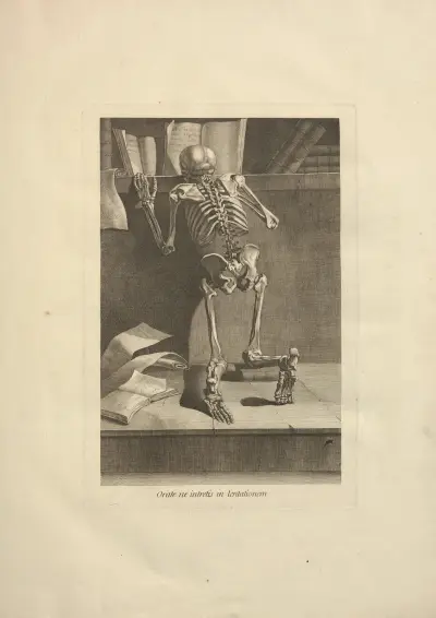 Nouveau recueil d’ostéologie et de myologie; dessiné d’après nature Pl.04 von Jacques Gamelin