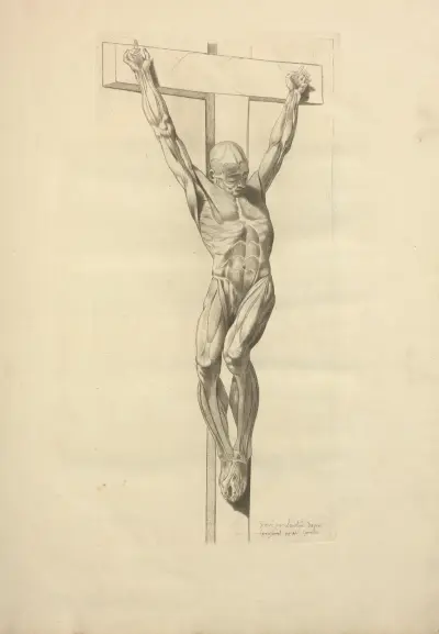 Nouveau recueil d’ostéologie et de myologie; dessiné d’après nature Pl.31 von Jacques Gamelin