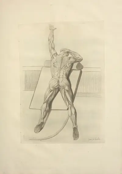 Nouveau recueil d’ostéologie et de myologie; dessiné d’après nature Pl.59 von Jacques Gamelin