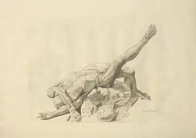 Nouveau recueil d’ostéologie et de myologie; dessiné d’après nature Pl.43 von Jacques Gamelin