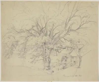 Alter Baum an einer Straße in Remagen von Jakob Becker