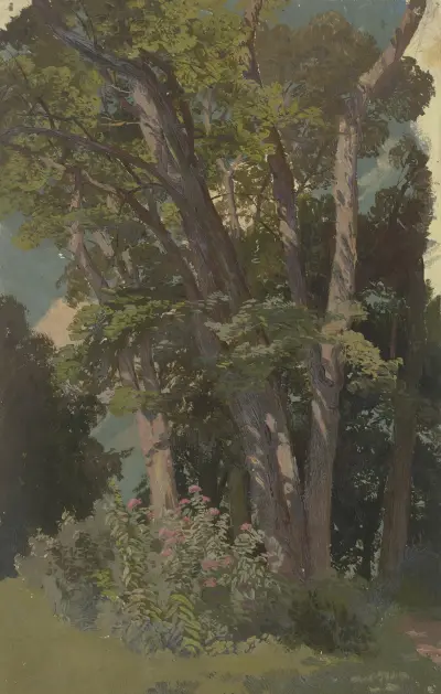 Park study, glade von Jakob Becker