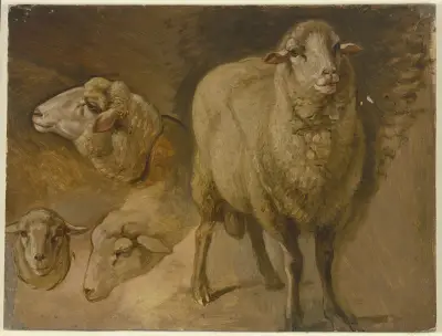 Sheep von Jakob Becker
