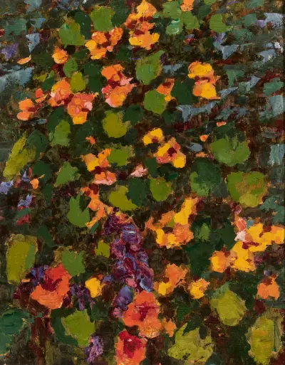 In meinem Garten – Kapuzinerkresse im Sonnenschein von Jan Bohuszewicz