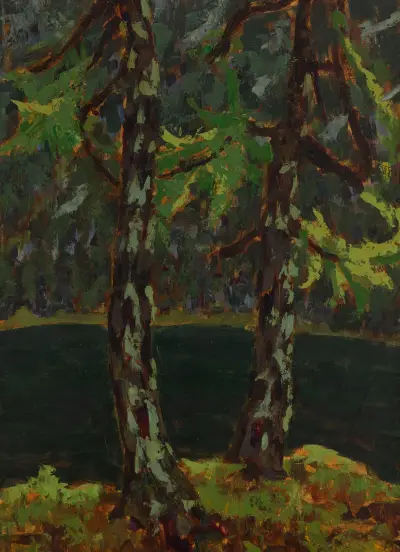 Lärchen am See in Dobiacco von Jan Bohuszewicz