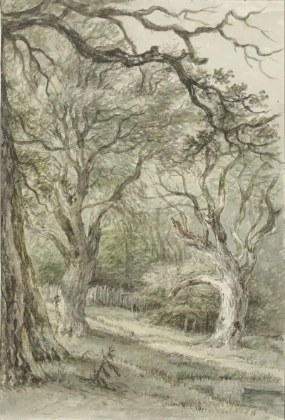 Bosgezicht von Jan Hulswit
