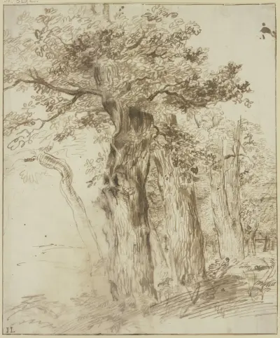 Grupa pni dębowych, Jan Lievens