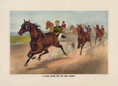 A sure horse for the first money av John Cameron