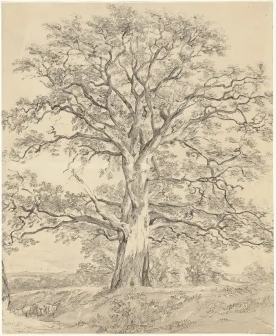 A Great Oak Tree av John Constable
