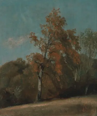 Study of an Ash Tree av John Constable