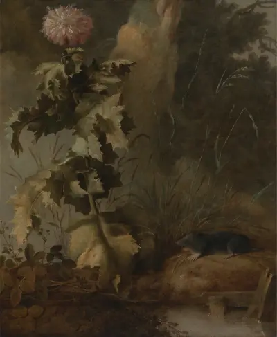 An Egyptian Poppy and a Water Mole av John Crome
