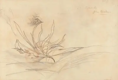Sketch of Foliage von John Ruskin