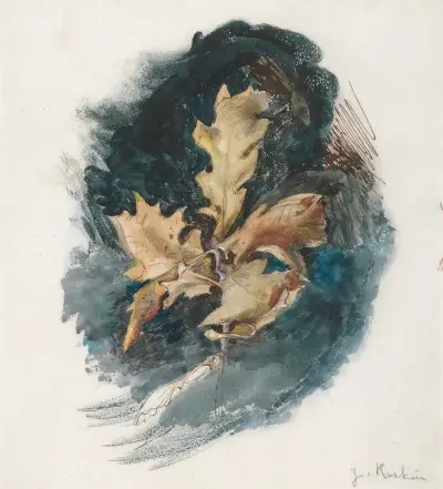 Study of an Oak Leaf von John Ruskin