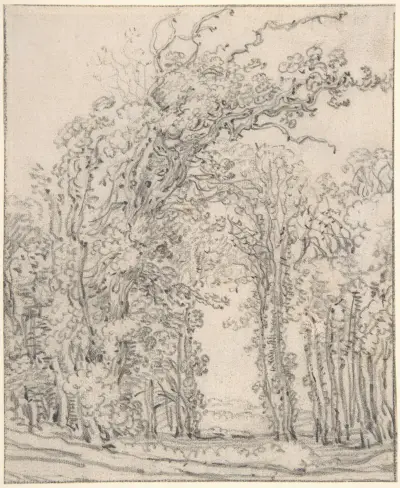 Study of Trees von John Ruskin