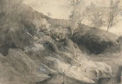 The Rocky Bank of a River von John Ruskin